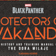Image for article titled Exclusive: Protectors of Wakanda Highlights the History of the Dora Milaje